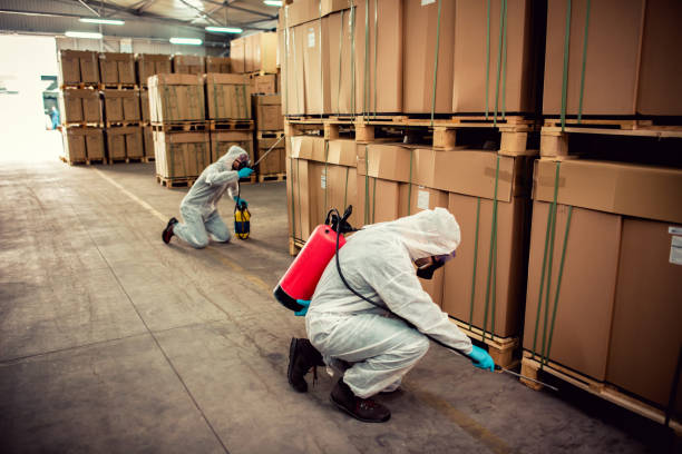 Best Exterminator Services  in Stapleton, AL