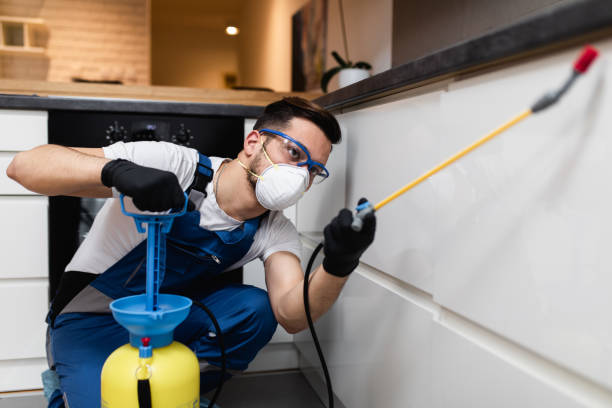 Best Pest Removal Services  in Stapleton, AL
