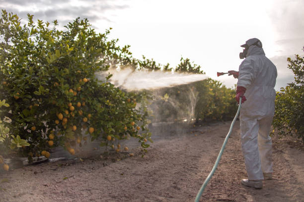 Best Wasp Removal Services  in Stapleton, AL
