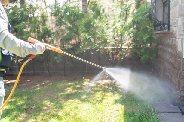 Best Pest Inspection Near Me  in Stapleton, AL