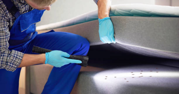 Best Wasp Removal Services  in Stapleton, AL