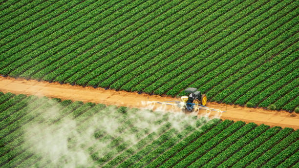 Best Exterminator Services  in Stapleton, AL