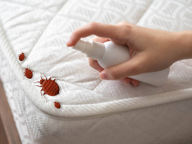 Best Best Pest Control Companies  in Stapleton, AL