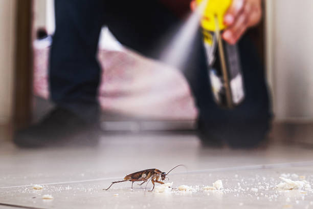 Best Emergency Pest Control  in Stapleton, AL