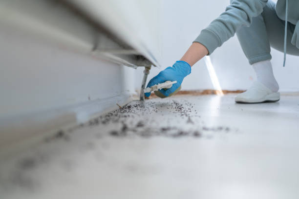 Best Affordable Pest Control Services  in Stapleton, AL